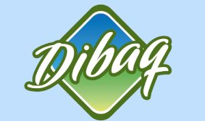 Dibaq pomáhá Chráněným dílnám Kopeček v Bartošovicích v Orlických horách.